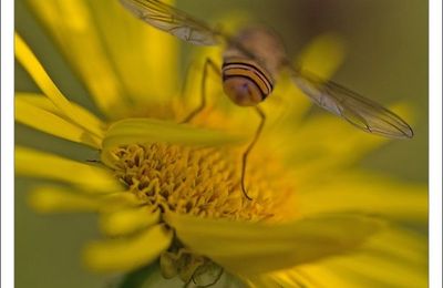 Couleurs du vendredi