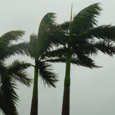 Typhoon Fanapi on Xiamen 