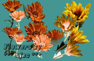 Freebies  -  Flowers