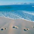 Les pas sur le sable