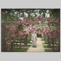 JARDINS ALBERT KAHN (II)