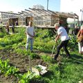 A Colombes, la lutte d’une ferme urbaine contre un parking