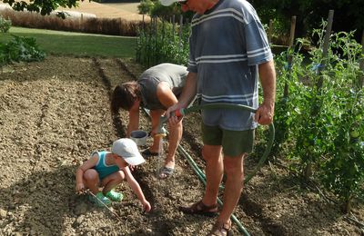 Jardinage et piscine