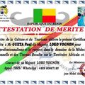 COMPETENT MARABOUT AFRICAIN SPECIALISTE DES TRAVAUX OCCULTES, marabout voyant sérieux le plus consulter