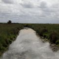 Les Marais sur la route de Rochefort - Marais de Brouage Hiers