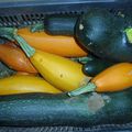 Courgettes