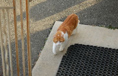 Bilan de la semaine (23)