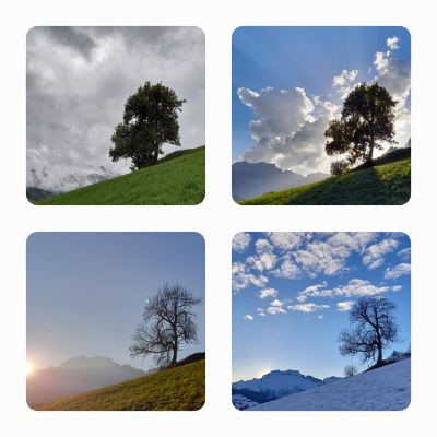 Retrouver du temps 🌿🌸🌿