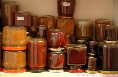Le temps des mirabelles (3) : confiture mirabelle-rhubarbe, sans blé, sans lait