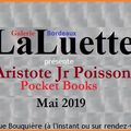 Aristote Jr Poisson expose à LaLuette Galerie Bordeaux
