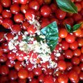 Linguine con pomodorini e basilico fresco