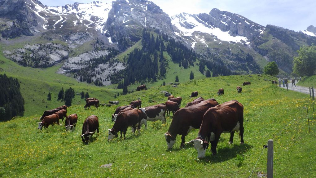 Une belle rencontre nationale UFOLEP en Haute Savoie