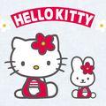 Echange enveloppes brodées "Hello Kitty"