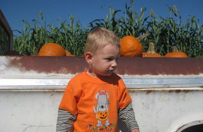 Pumpkin patch - le champs de citrouille