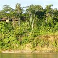 Jours 186, 187, 188 et 189 et 190 et 191 : dans la jungle amazonienne.