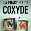La fracture de Coxyde, de Maxime Gillio