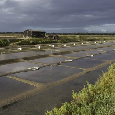 HOMMAGE A UN SAUNIER VENDEEN