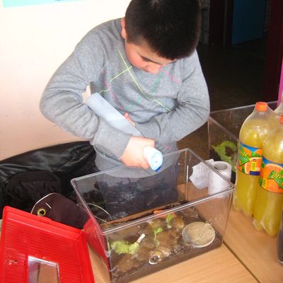 Nous sommes chouchoutés...