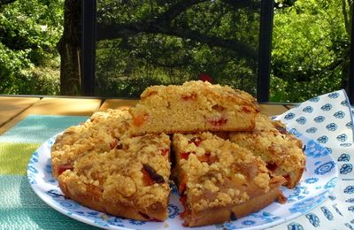 Placek aux abricots,  gâteau simple de l'été