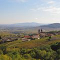 Sur les coteaux du Fût d'Avenas