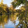 L'automne sur le lac