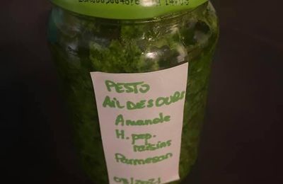 Pestos à l’ail des ours 