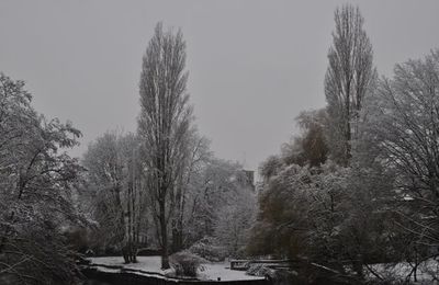 Montigny sur Loing sous la neige