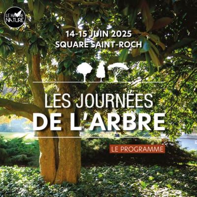 Les journées de l'arbre - 14 et 15 juin 2025 > Square Saint Roch - Le Havre - Normandie
