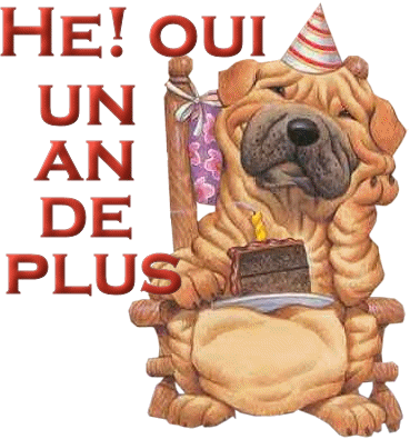 4 ans aujourd'hui !