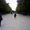 Le jardin du Luxembourg, en août, à Paris