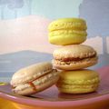 Macarons, le retour