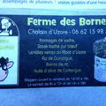 Chalain d'Uzore 42 a la FERME "STEAT   Boeuf- Lentilles- FROMAGES  au Magasin