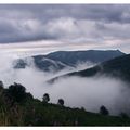 La tête dans les nuages