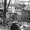 De l’élingue au Ro-Ro. Le Havre.