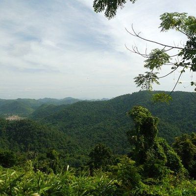 La verdure du parc national de Khao Yai et les vestiges du royaume de Siam