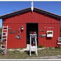 La cabane : Un coin de paradis