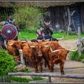 Les Vikings en France par Idavoll (attaque de Noirmoutier)