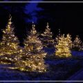 Que représente la fête du Nouvel An ?