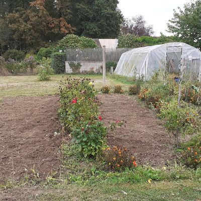 Jardin d'automne 