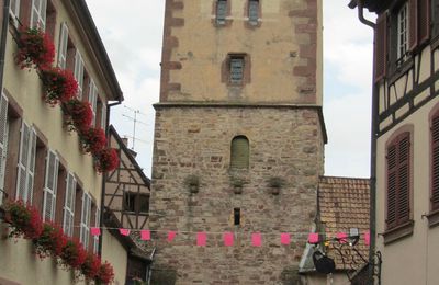 Balade à Ribeauvillé pour célébrer la vie en rose