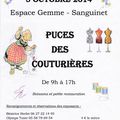 Puces de Sanguinet