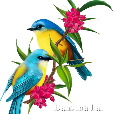 Dans ma bal  3