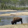 West Yellowstone (Montana) le 1er mai (1)