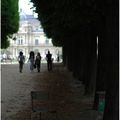 Série "Prenez une chaise" : Jardin du Luxembourg - 3.