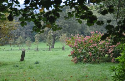 Un samedi après-midi