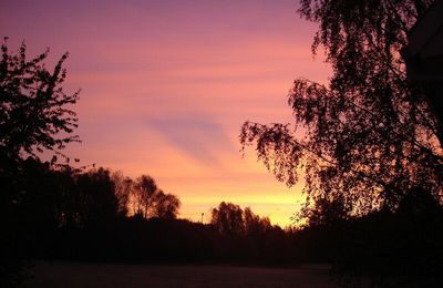 Lever de soleil sur un parc