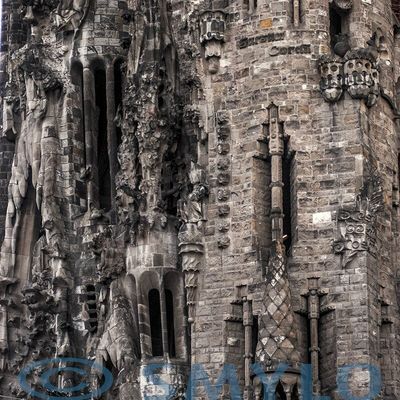 Sagrada Familia Grey