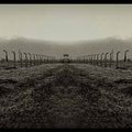 Birkenau-camp de la mort