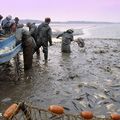 Pêche en Dombes