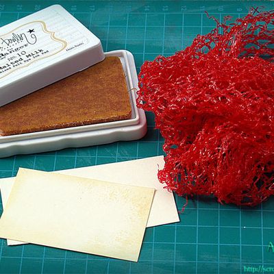 Encrer avec un filet à légumes